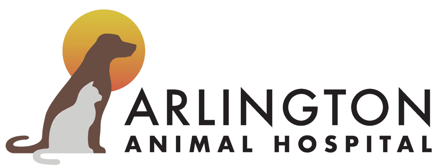 Arlington Animal Hospital - Jacksonville, Florida - Home